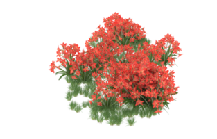 Realistic foliage isolated on transparent background. 3d rendering - illustration png