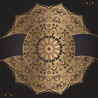 Luxury Mandala Decorative Ethnic Element vector
