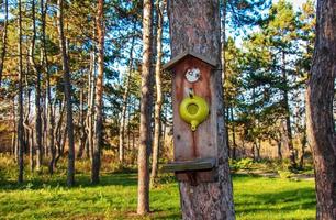 Wooden birdhouse birdhouse. Take care of the animals. Crafts with children. photo