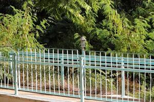 Green plants and flowers grow along the fence. photo