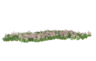 Realistic foliage isolated on transparent background. 3d rendering - illustration png