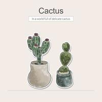 Hand drawn colored pencil with catus vector