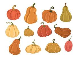 Establecer colección de otoño de calabazas dibujadas planas. vector