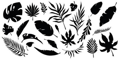 conjunto de siluetas negras de hojas tropicales. hojas de plátano, palmera, monstera y arbustos. vector