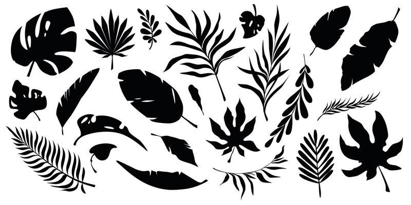 Set of black silhouettes of tropical leaves. Leaves of banana tree, palm tree, monstera and bushes.