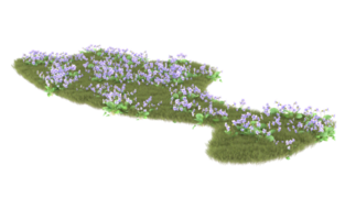 Realistic foliage isolated on transparent background. 3d rendering - illustration png