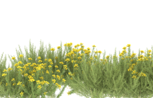 Realistic foliage isolated on transparent background. 3d rendering - illustration png