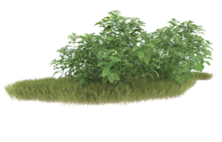 Realistic foliage isolated on transparent background. 3d rendering - illustration png