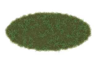 Realistic foliage isolated on transparent background. 3d rendering - illustration png