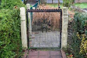 low garden gate in autumn photo