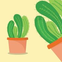 iconos de cactus en un estilo plano sobre un fondo amarillo. plantas caseras cactus en macetas y con flores. vector