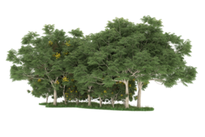 Realistic forest isolated on transparent background. 3d rendering - illustration png