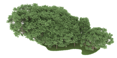 Realistic forest isolated on transparent background. 3d rendering - illustration png