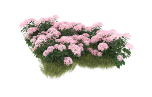 Realistic foliage isolated on transparent background. 3d rendering - illustration png