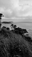 Beautiful Promthep cape with grass field and palm or coconut trees with sky and clouds background in black and white tone. Beauty in nature, Landmarks south of Thailand for tourists travel to visit. photo