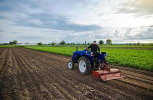 granjero en tractor cultiva campo agrícola. moler el suelo, desmenuzar el suelo antes de cortar las hileras. ganadería, agricultura. superficie de aflojamiento, cultivo de la tierra. trabajo de campo al amanecer. agroindustria, agroindustria foto