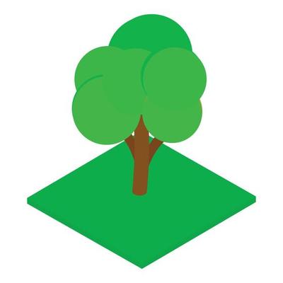 Maple tree icon, isometric style