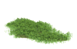 Realistic foliage isolated on transparent background. 3d rendering - illustration png