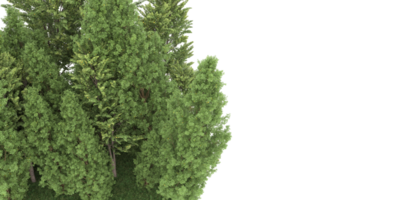 Realistic forest isolated on transparent background. 3d rendering - illustration png