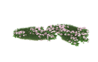 Realistic foliage isolated on transparent background. 3d rendering - illustration png