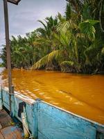 vista del río y la vegetación verde a orillas del barco foto