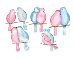 Watercolor Valentine Couple Bird clipart, valentine cute love bird illustration vector