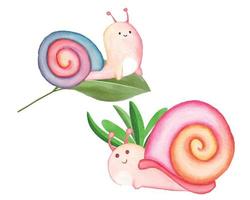 Watercolor snail clipart set, cute garden snail illustration vector