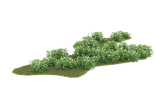 Realistic foliage isolated on transparent background. 3d rendering - illustration png