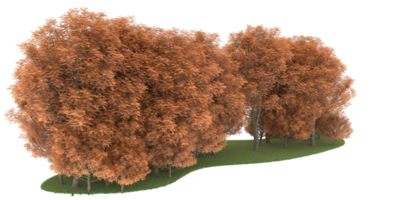 floresta realista isolada em fundo transparente. renderização 3D - ilustração png