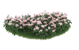 Realistic foliage isolated on transparent background. 3d rendering - illustration png