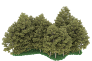 Realistic forest isolated on transparent background. 3d rendering - illustration png