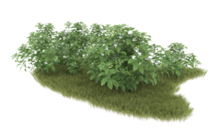 Realistic foliage isolated on transparent background. 3d rendering - illustration png