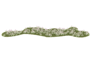 Realistic foliage isolated on transparent background. 3d rendering - illustration png