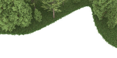 Realistic forest isolated on transparent background. 3d rendering - illustration png