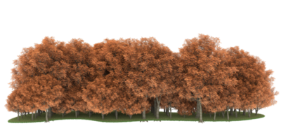 Realistic forest isolated on transparent background. 3d rendering - illustration png