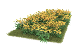 Realistic foliage isolated on transparent background. 3d rendering - illustration png