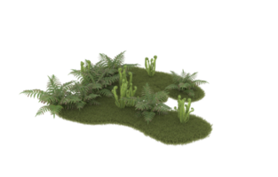 Realistic foliage isolated on transparent background. 3d rendering - illustration png