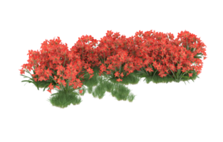 Realistic foliage isolated on transparent background. 3d rendering - illustration png