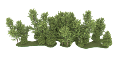 Realistic forest isolated on transparent background. 3d rendering - illustration png