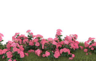 Realistic foliage isolated on transparent background. 3d rendering - illustration png