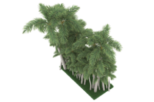 Palm trees isolated on transparent background. 3d rendering - illustration png