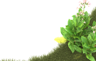 Realistic foliage isolated on transparent background. 3d rendering - illustration png