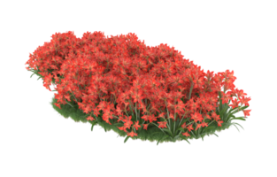 Realistic foliage isolated on transparent background. 3d rendering - illustration png