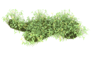 Realistic foliage isolated on transparent background. 3d rendering - illustration png