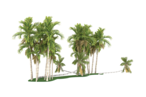 Palm trees isolated on transparent background. 3d rendering - illustration png