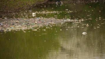 Verschmutzung durch Plastikflaschen und -tüten im Teich. video