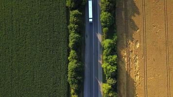 Aerial view of a road with moving cars between yellow agriculture wheat fields ready to be harvested in late summer. Aerial view video