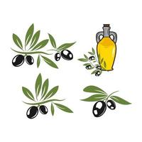 diseño vectorial de plantilla de logotipo de oliva de aceite, símbolos de aceitunas para cocina extra virgen o diseño de aceite de ensalada. ramas de olivo negras y verdes para la etiqueta de la botella orgánica natural. vector