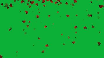 Autumn leaves falling animation o1 in green screen, Loop animation in green screen video