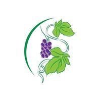 Vector monochrome illustration of grapes logo isolated on white background.